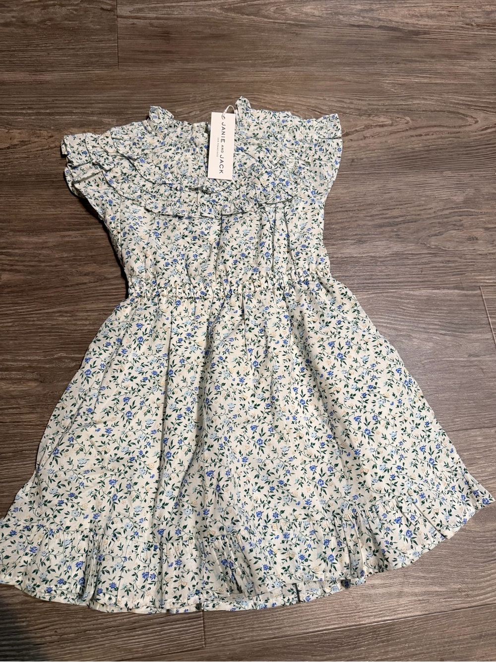 Janie and Jack Cream Dress with Blue and Green Floral Print